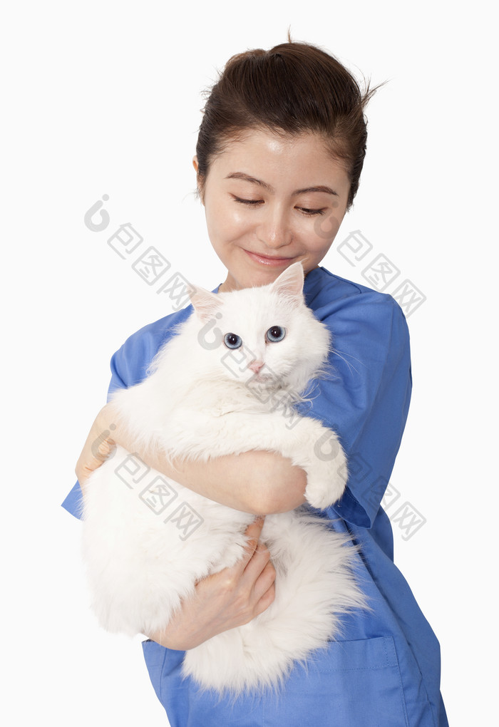 兽医抱着白猫摄影图