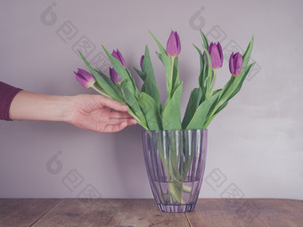 手抚摸紫色鲜花摄影图