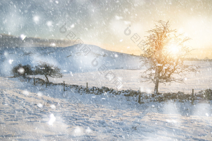 乡下雪地景观摄影图