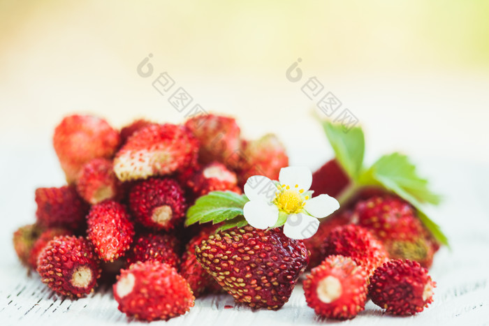 小清新草莓摄影图
