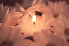 盛开白色花卉中的蜡烛