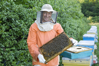 深色调养蜂人摄影图
