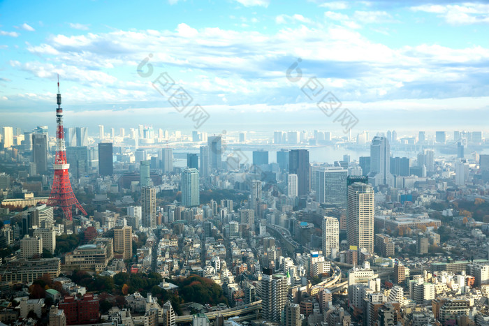 黎明的东京城市建筑物