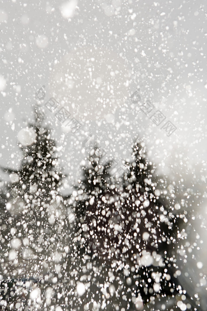 灰色调漫天大雪摄影图