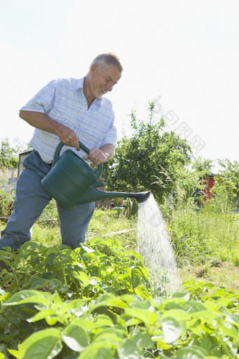 菜园子浇水的男人