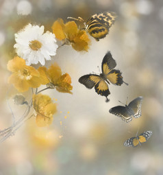飞舞的蝴蝶和鲜花