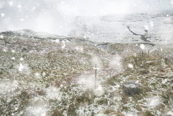 雪花中的旷野摄影图