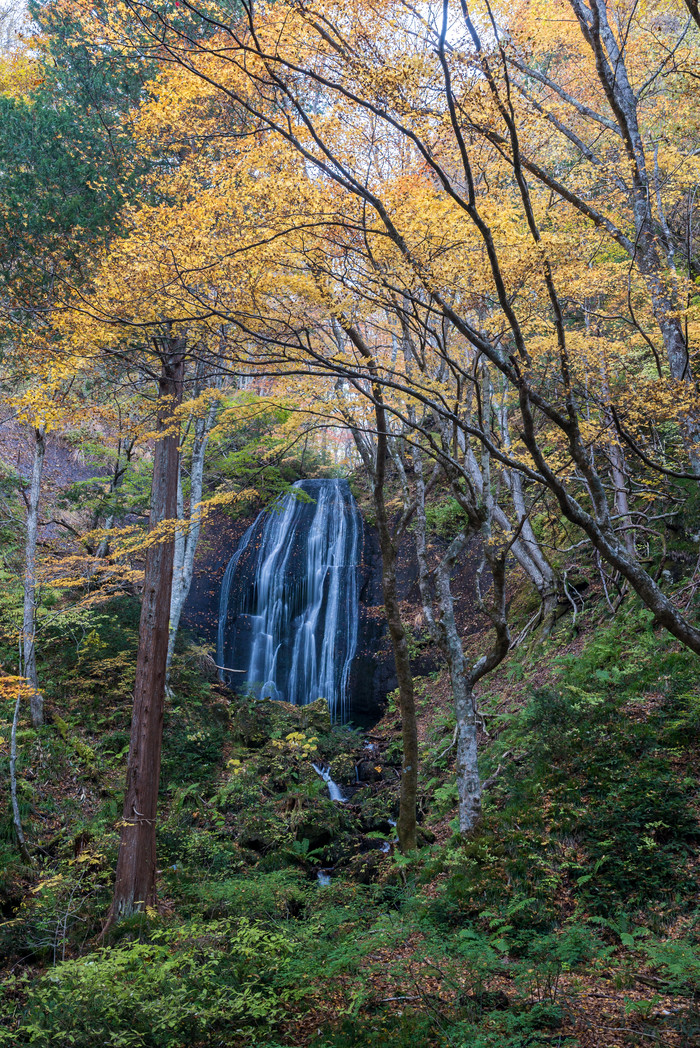秋天树林中的瀑布