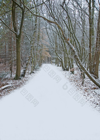 深色美丽的雪景摄影图