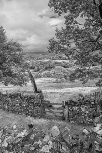 暗系背景 图片 暗系背景素材下载第4页 包图网