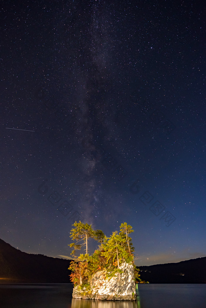 星空下的绿色植物素材