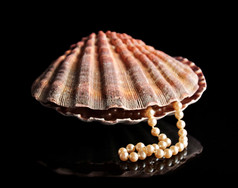 暗色调贝壳中的珍珠项链摄影图