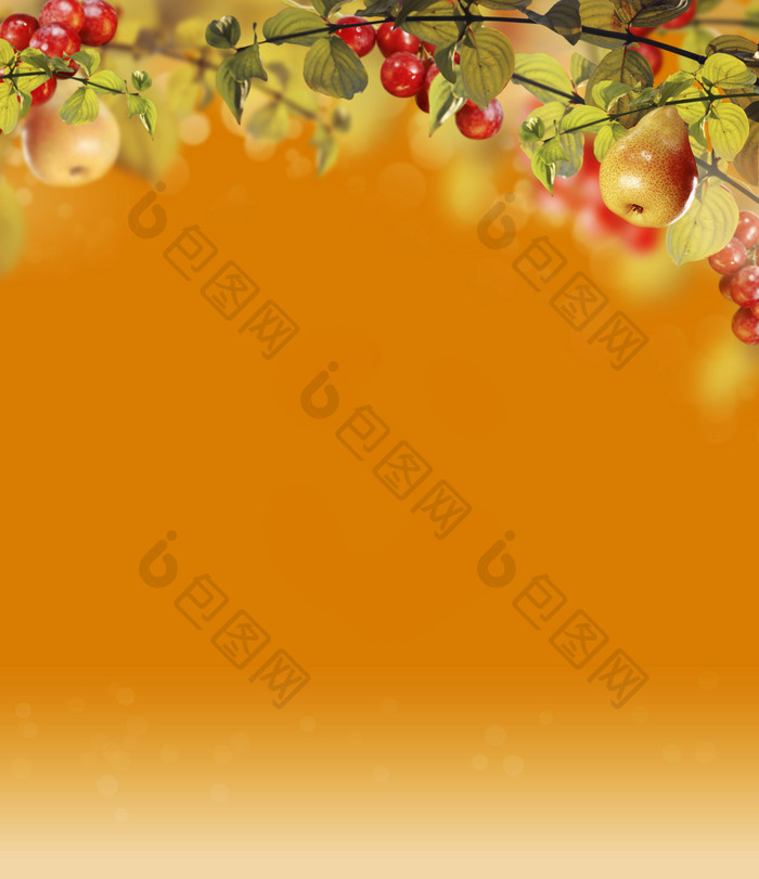 橙色水果背景摄影图片