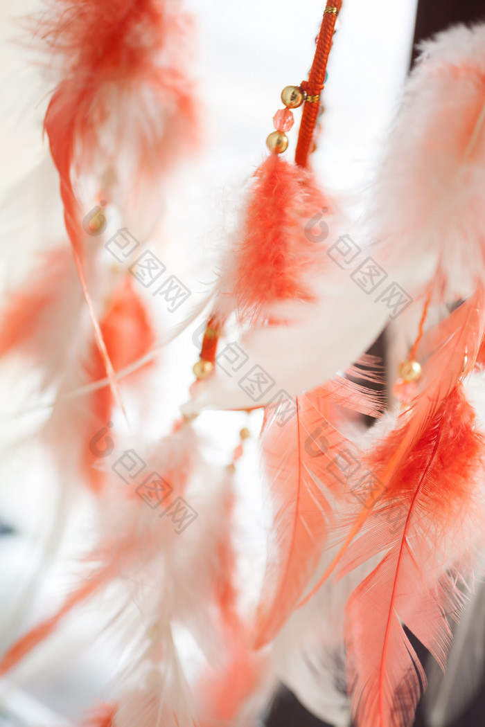红白色羽毛挂饰摄影图