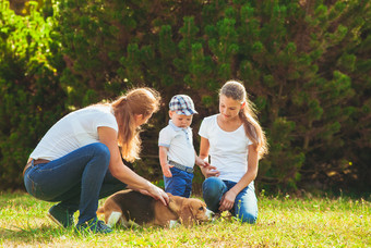 草地上的狗和家人