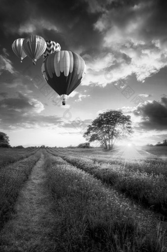 黑白风格空中热气球摄影图