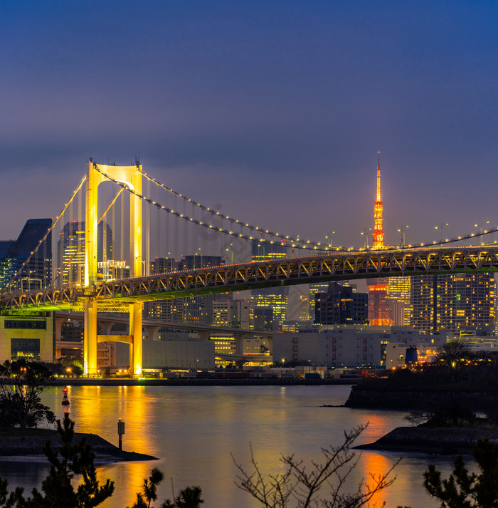 东京华丽城市夜景图片