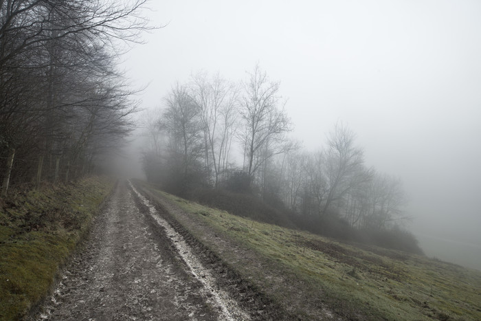 起雾的泥泞小路摄影图