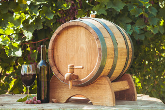 葡萄架旁的红酒酒桶