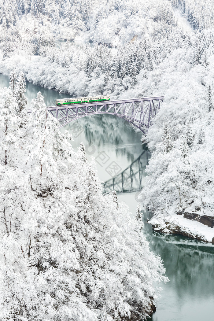 白色调雪后树林摄影图