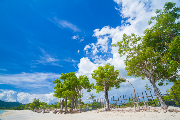 巴厘岛沙滩海边蓝天白云树木旅行度假风景