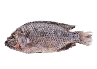 深色腌制的鱼摄影图