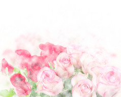 清新风粉玫瑰摄影图