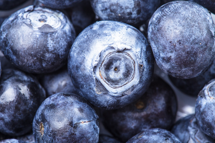 暗色调蓝莓浆果摄影图