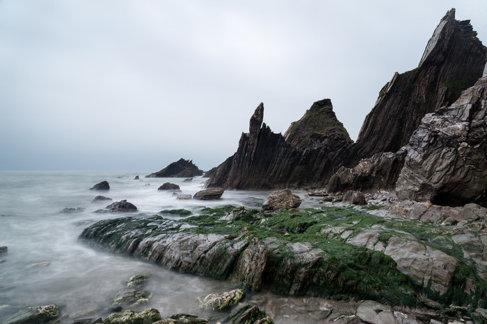 海滩海草岩石摄影图
