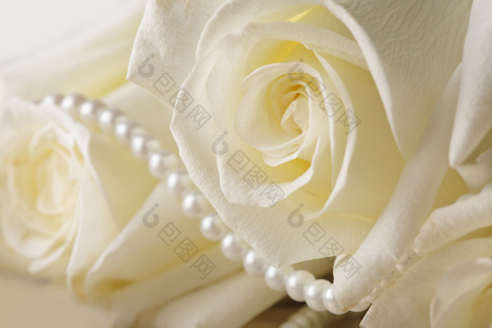 珍珠项链和玫瑰花