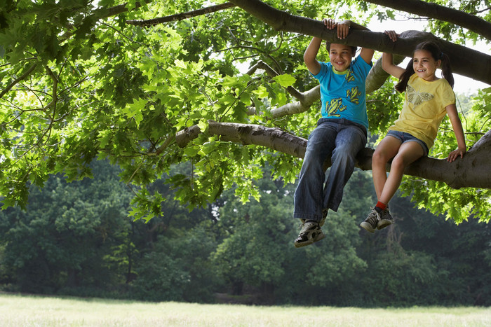 坐在树上的男孩和女孩