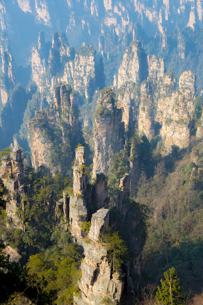 张家界森林山林山峰图片
