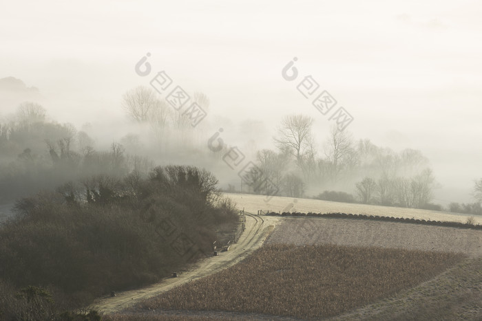 起雾的野外小路摄影图