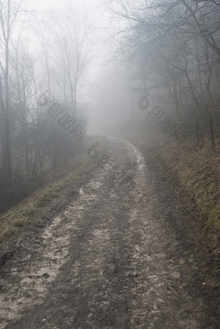 起雾的泥泞路摄影图