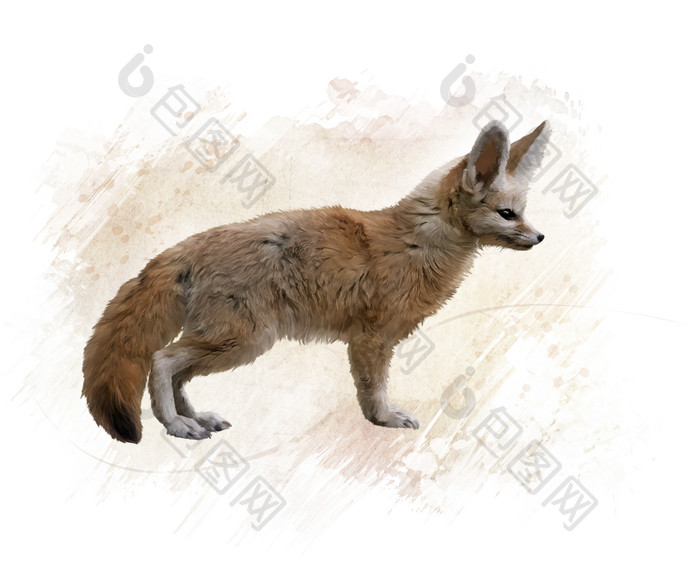 Fennec狐狸牲畜水彩颜料