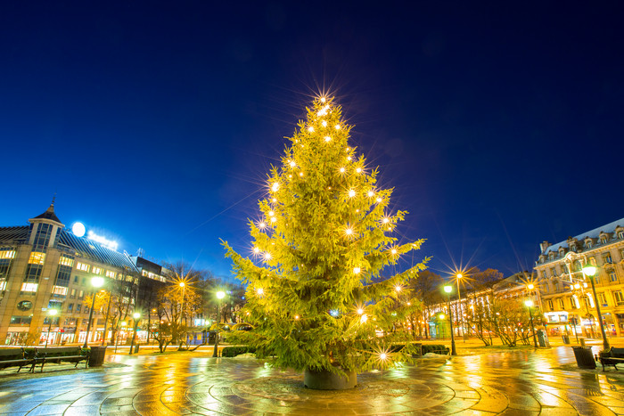 黑夜中发光的圣诞树