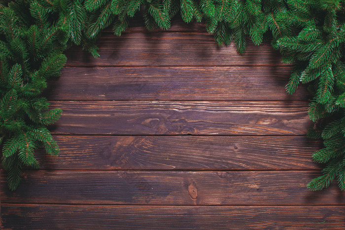 棕色木板上的绿色杉木