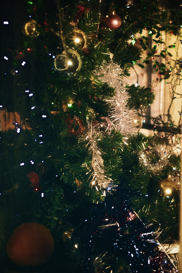 暗色调小圣诞树摄影图