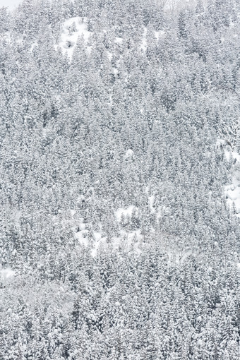 冬天白色山林摄影图