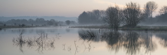深色美丽的一片湿地摄影图