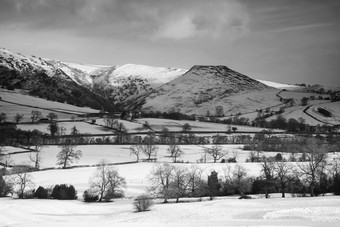 黑白风格野外的雪景摄影图