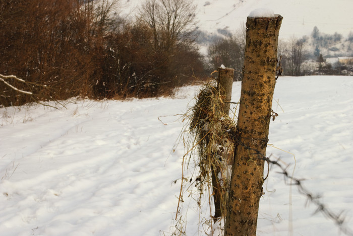 雪地上的木质栅栏