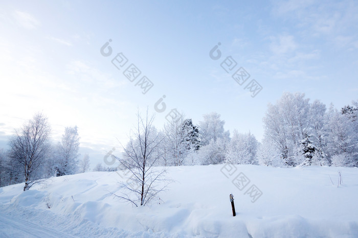 白色下过雪的雪地