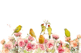 粉色花朵上的黄色小鸟