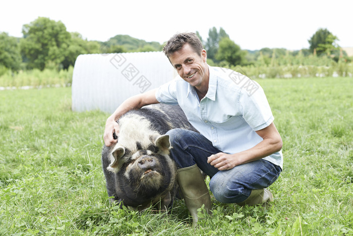 男人和宠物猪