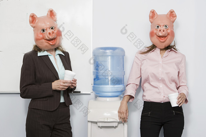 清新猪头女职员摄影图
