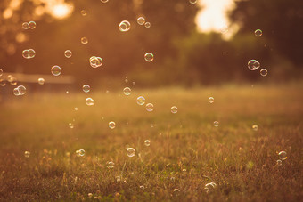 暗色调草地的小泡泡摄影图