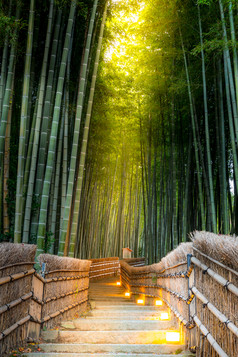 竹林中的木桥摄影图