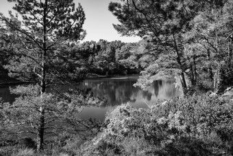 黑白风格山中池水摄影图