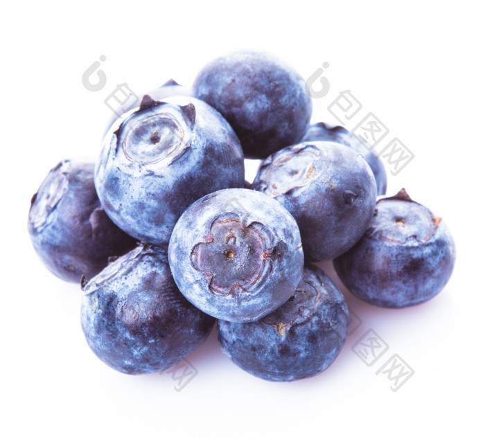 新鲜蓝莓果摄影图